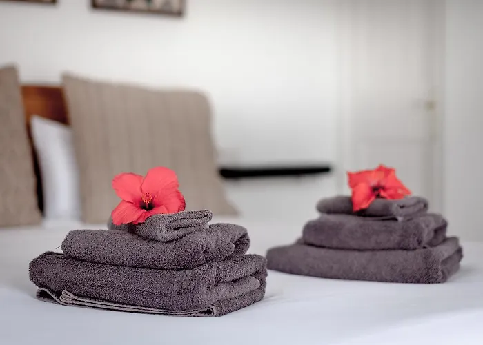 Azulfit Surya Yoga & Pilates Retreat Han/Misafirhane *