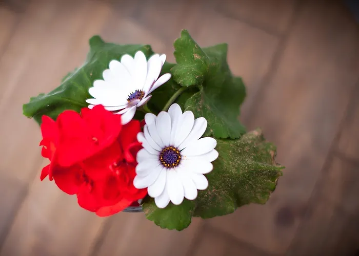 Azulfit Surya Yoga & Pilates Retreat Han/Misafirhane *